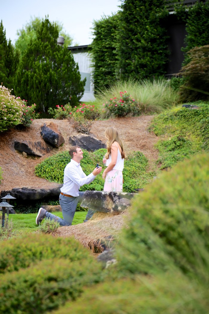 Turner + Lindy Proposal 9