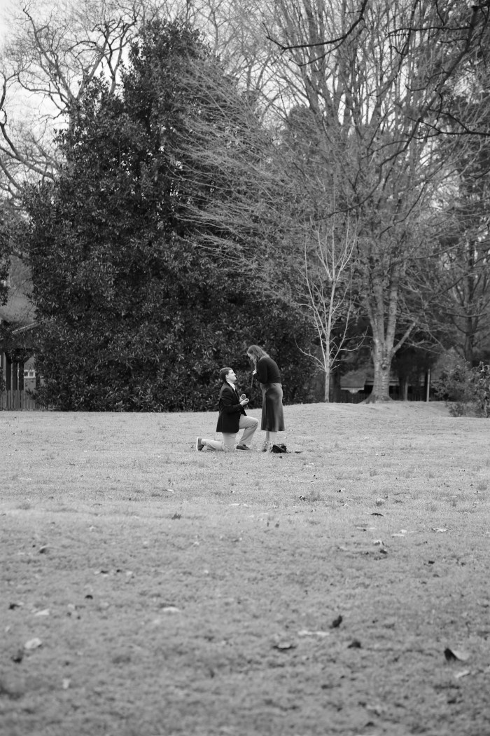 Bird + Ames Proposal 6